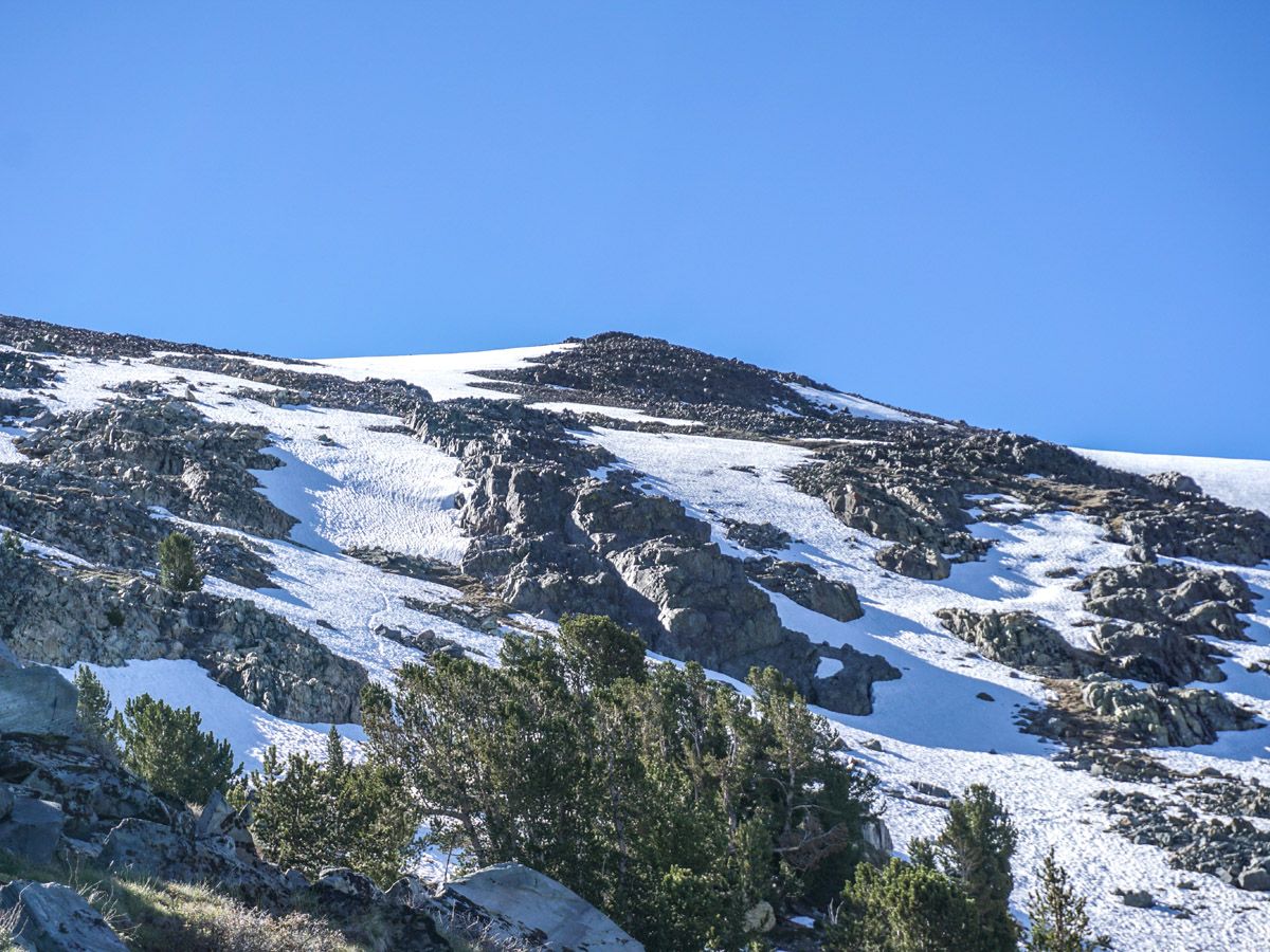 Snowy mountain at Mount Dana Hike in Yosemite National Park