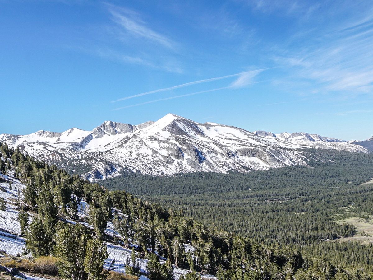 Beautiful mountain view on Mount Dana Hike in Yosemite National Park