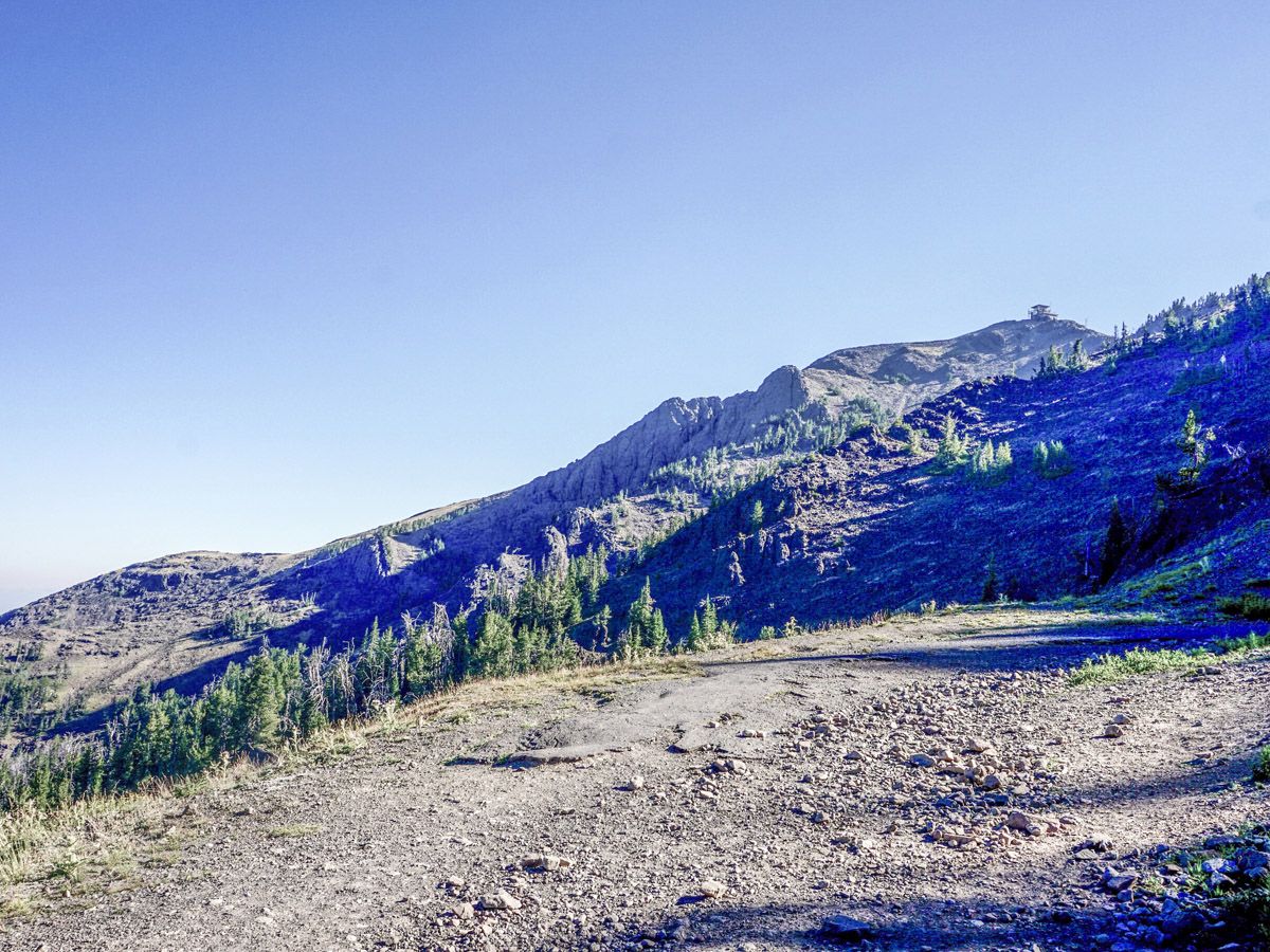 Hiking trail at Mount Washburn Hike in Yellowstone National Park