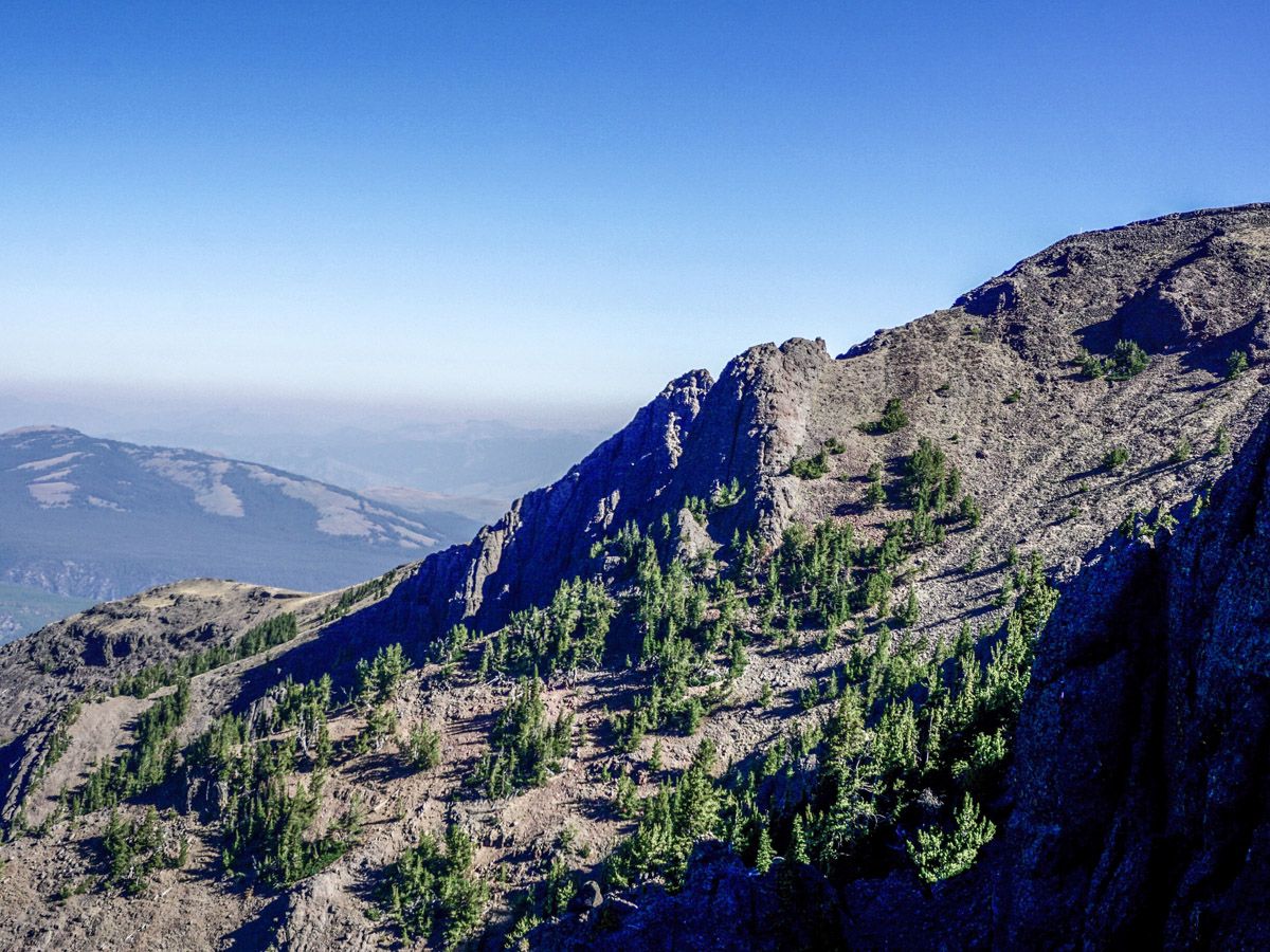 Trail at Mount Washburn Hike in Yellowstone National Park