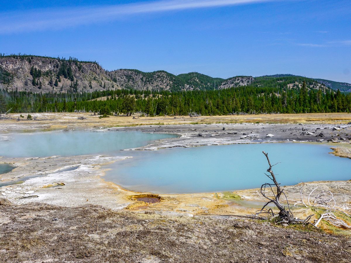 Lake and forest at Mystic Falls Hike in Yellowstone National Park