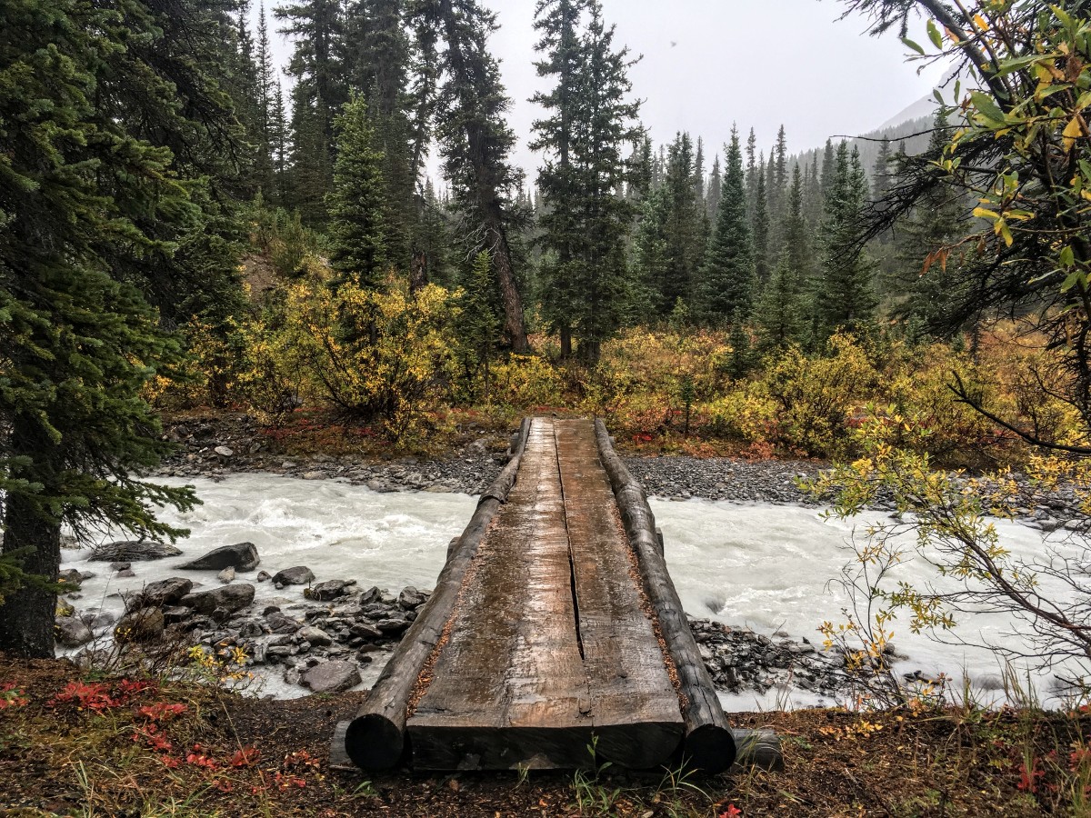 Bridge on the Nigel Pass Hike from the Icefields Parkway near Banff National Park