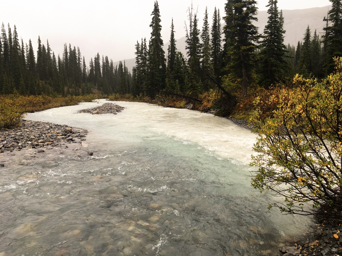 Nigel and Hilda creek on the Nigel Pass Hike from the Icefields Parkway near Banff National Park