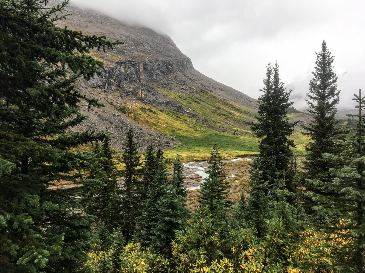 Meadows at the base of the peak on the Nigel Pass Hike from the Icefields Parkway near Banff National Park