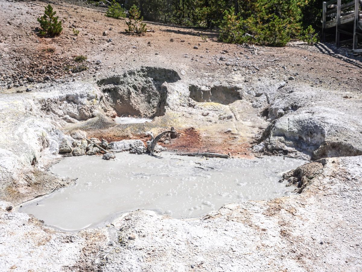 Norris Geyser Hike in Yellowstone National Park leads along several beautiful geysers