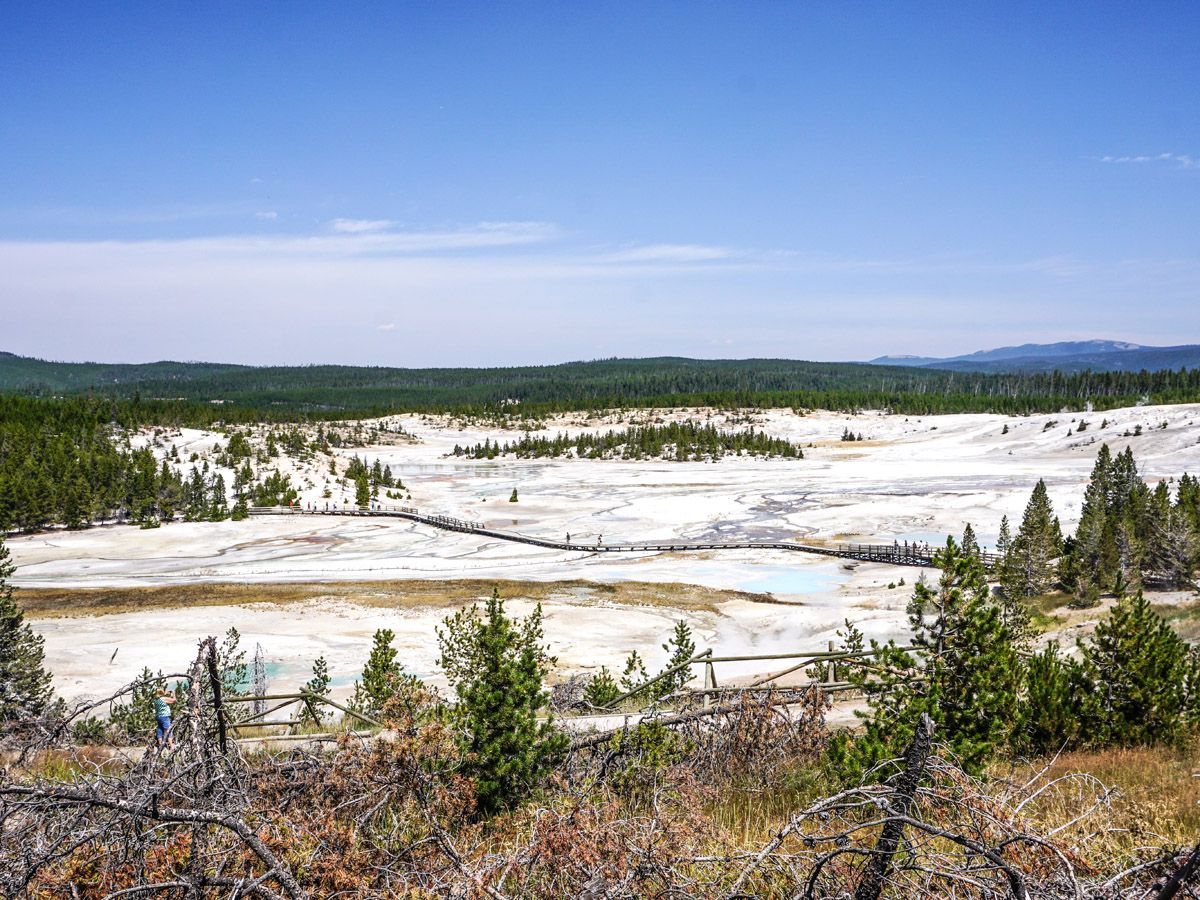 Trail at Norris Geyser Hike in Yellowstone National Park, Wyoming