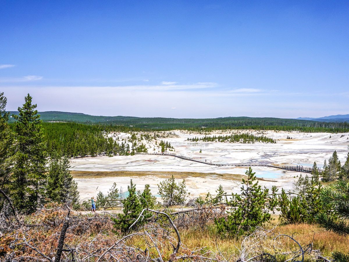 Trail at Norris Geyser Hike in Yellowstone National Park