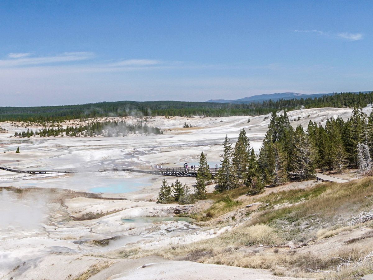 Trail of Norris Geyser Hike in Yellowstone National Park