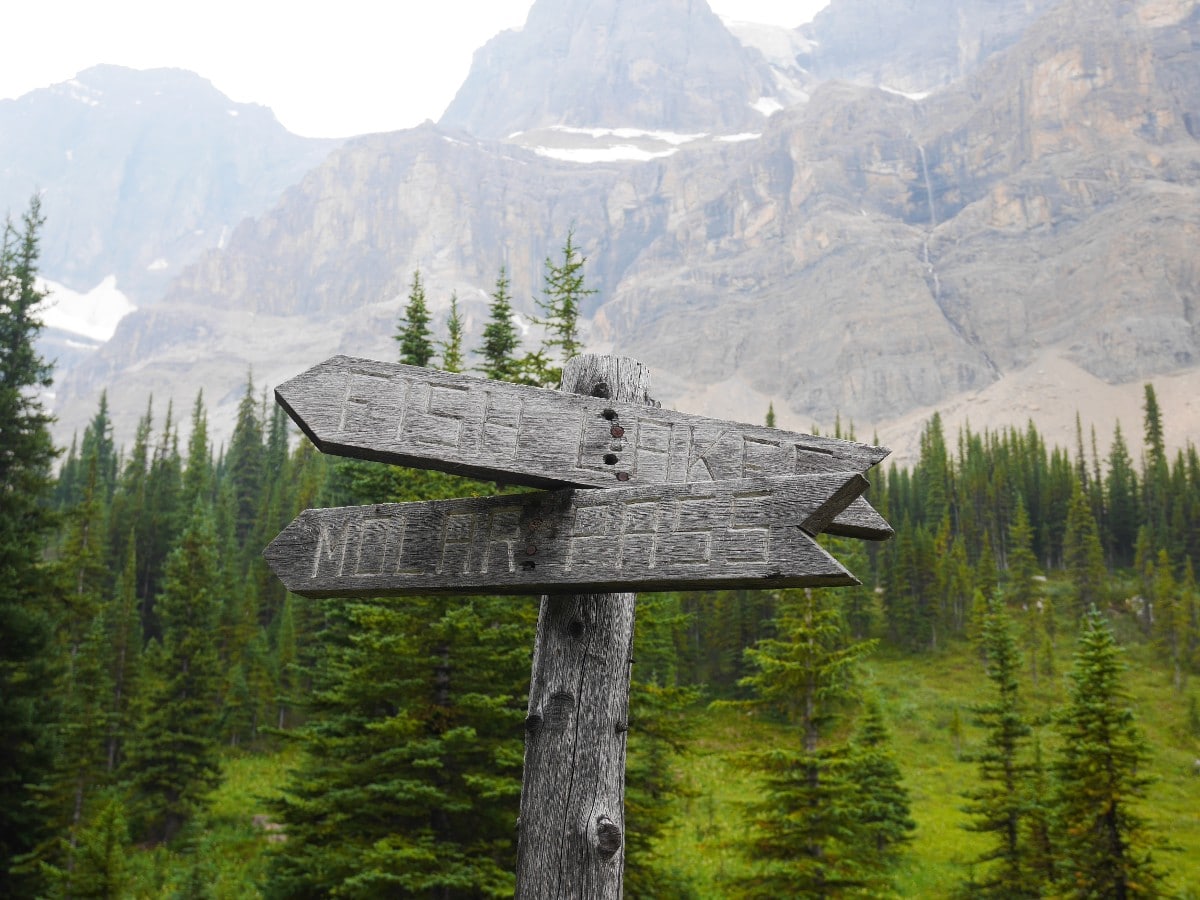 Trail sign on the North Molar Pass Hike from the Icefields Parkway near Banff National Park