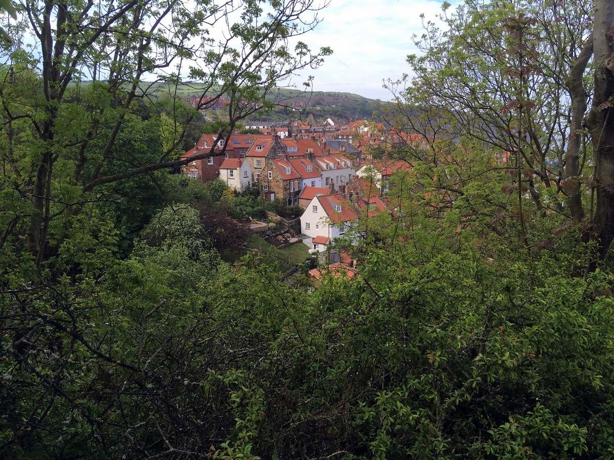 Red roofs from the Ravenscar and Robin Hood’s Bay Hike in North York Moors, England