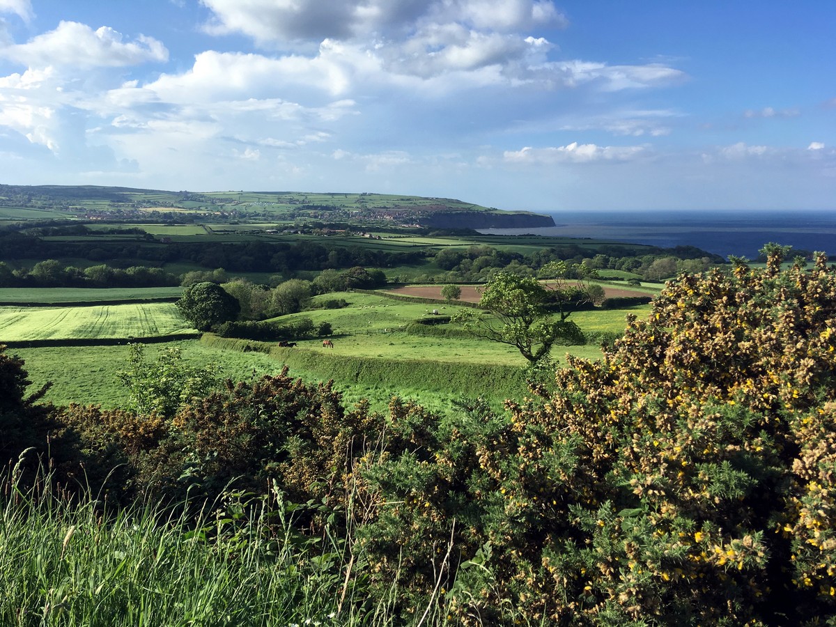 Views from the old railway on the Ravenscar and Robin Hood’s Bay Hike in North York Moors, England