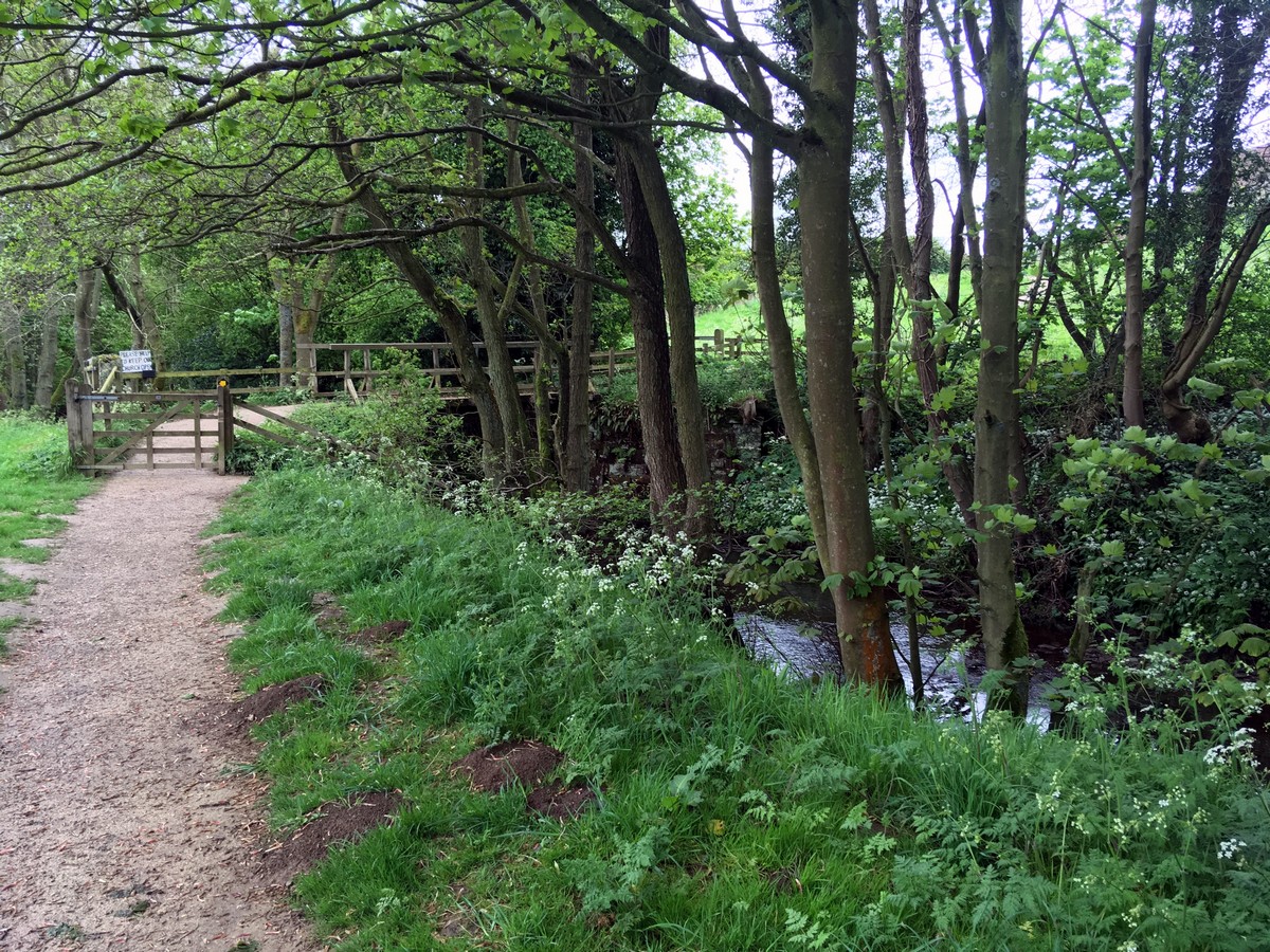 Footbridge over River Dove on the Farndale "Daffodil walk" Hike in North York Moors, England