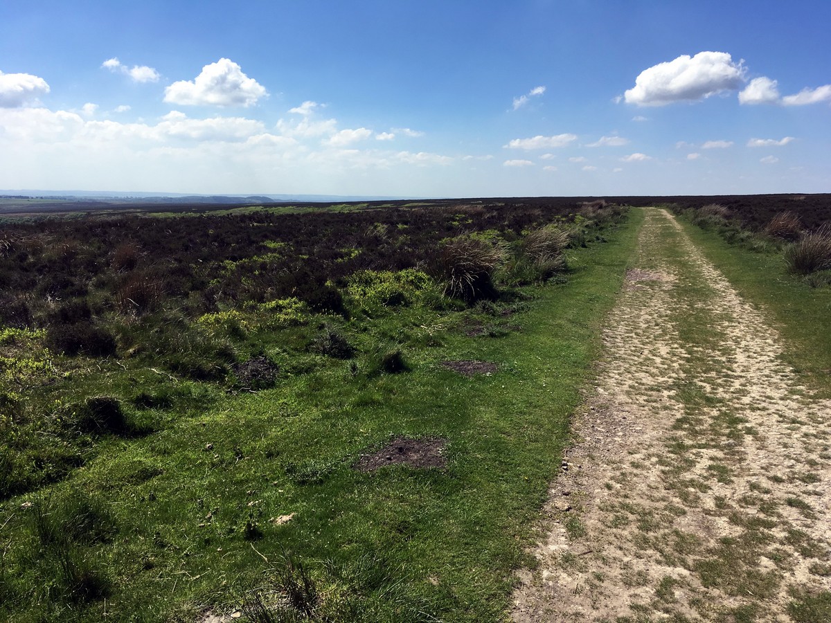 Levisham Moor from the Hole of Horcum Hike in North York Moors, England