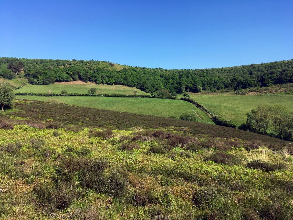 Views from Levisham Moor on the Hole of Horcum Hike in North York Moors, England