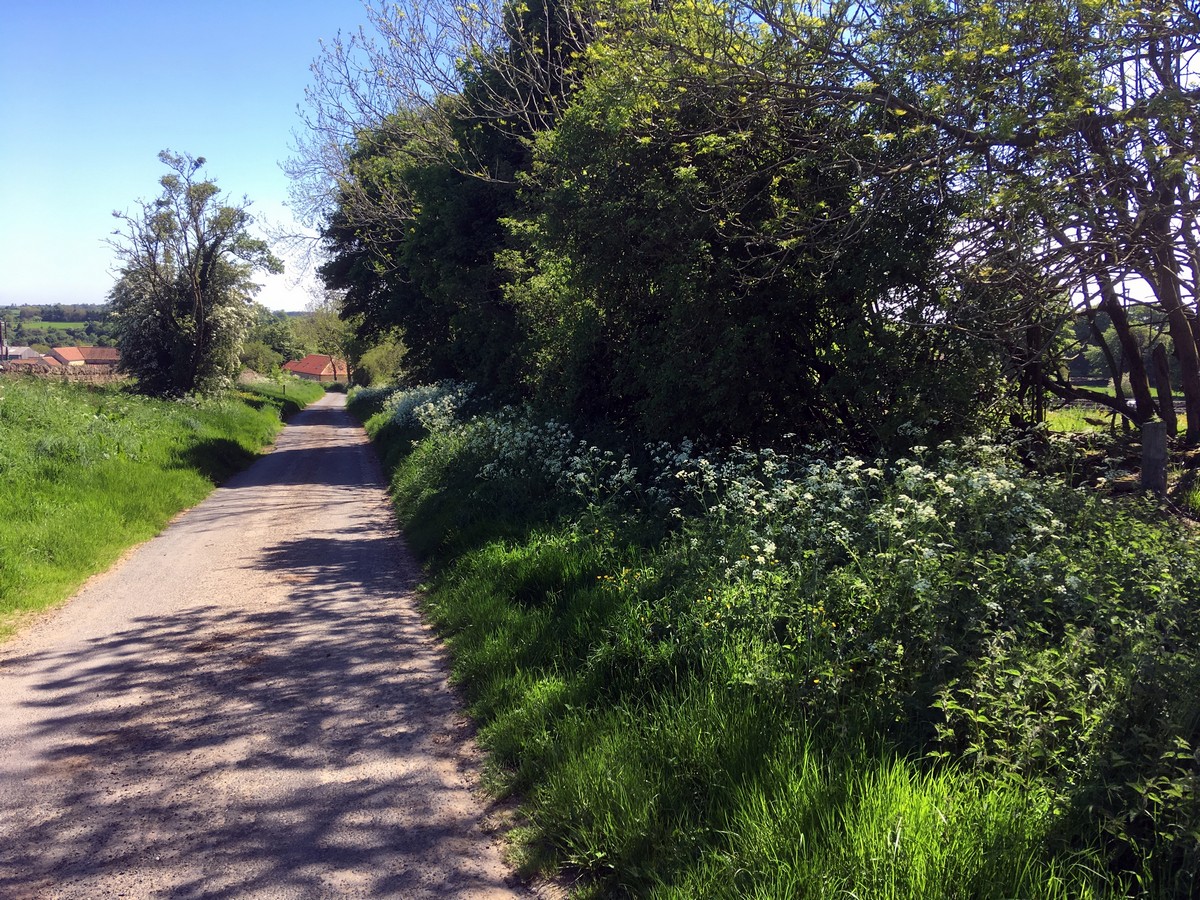 Lane down into Levisham on the Hole of Horcum Hike in North York Moors, England