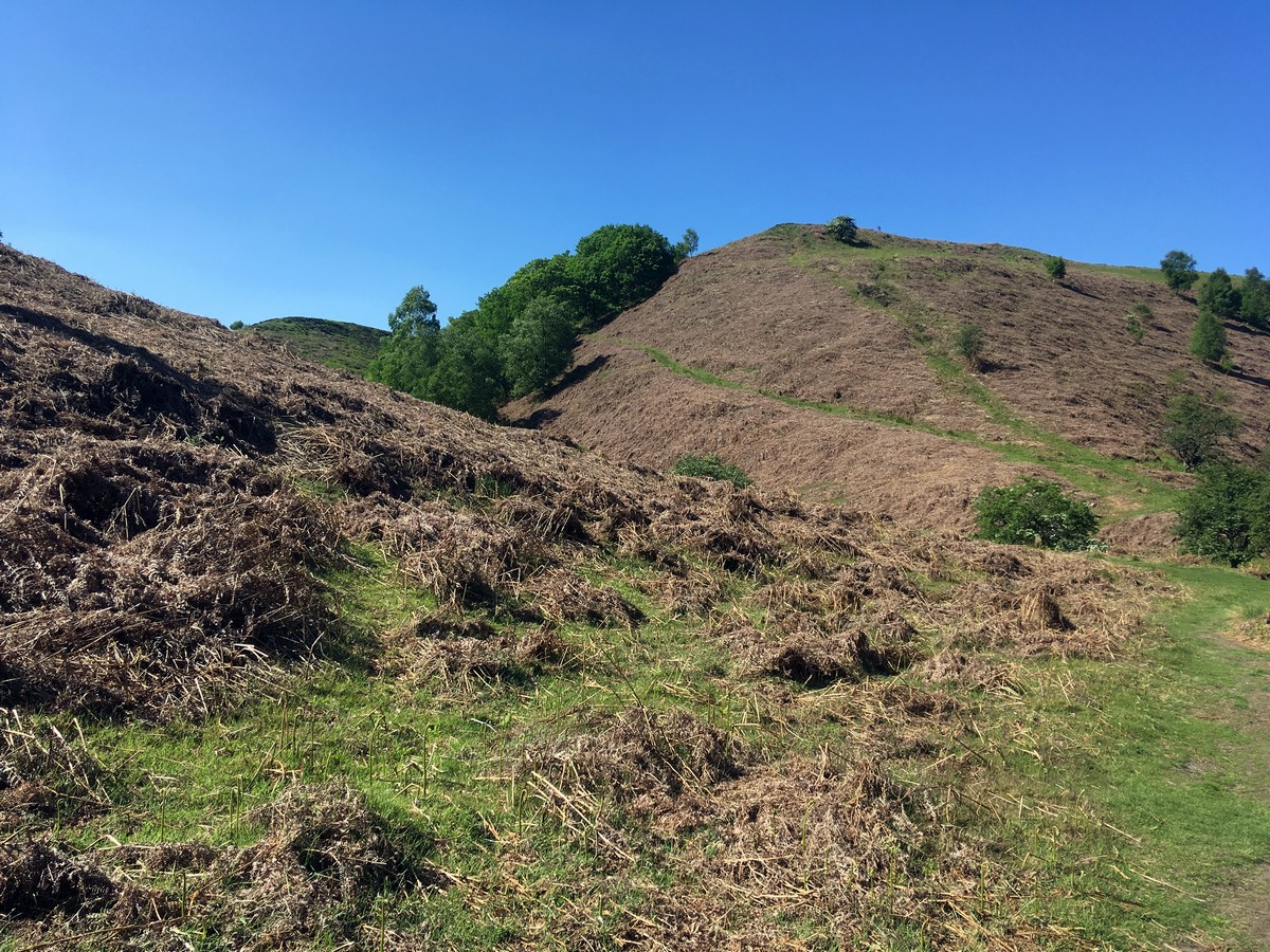 Dundale Griff from the Hole of Horcum Hike in North York Moors, England