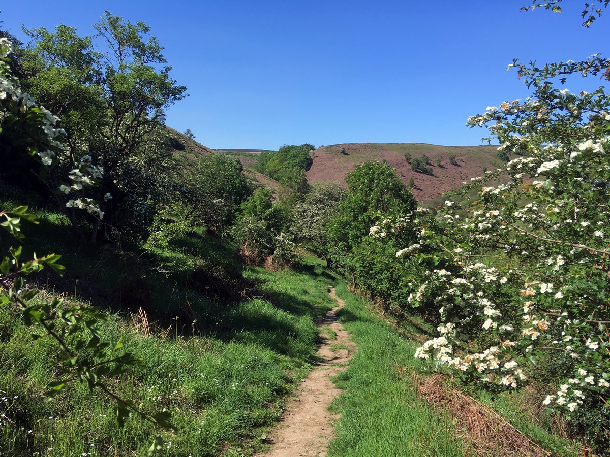 Trail of the Hole of Horcum Hike in North York Moors, England