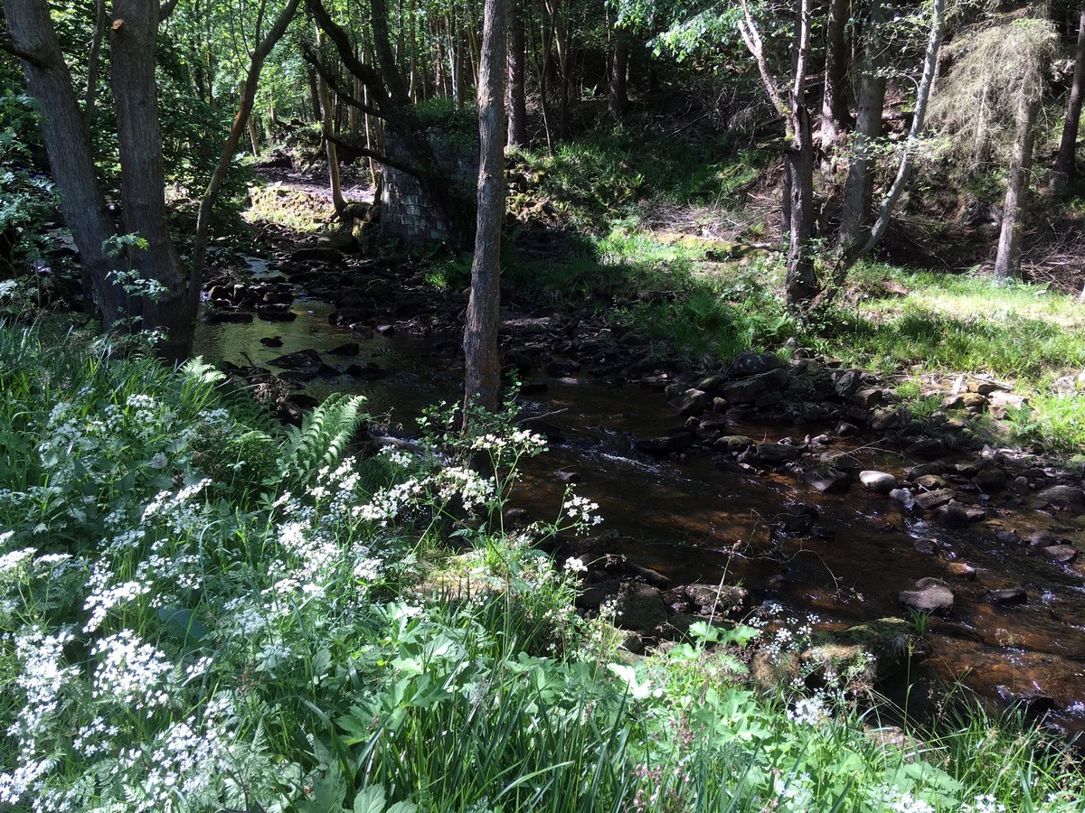 West Beck on the Goathland, Mallyan Spout and the Roman Road Hike in North York Moors, England