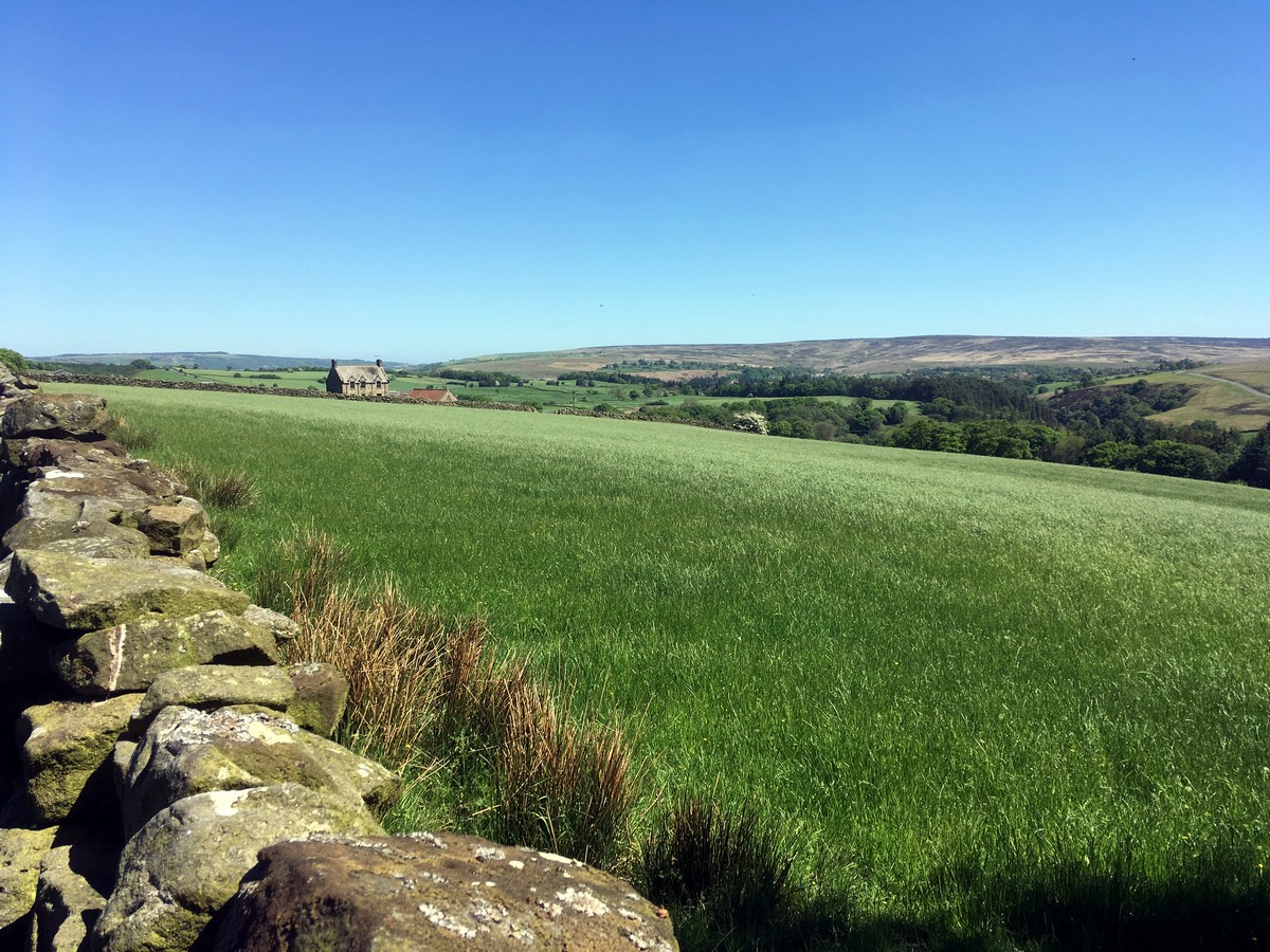 View from Hazel Head Farm on the Goathland, Mallyan Spout and the Roman Road Hike in North York Moors, England