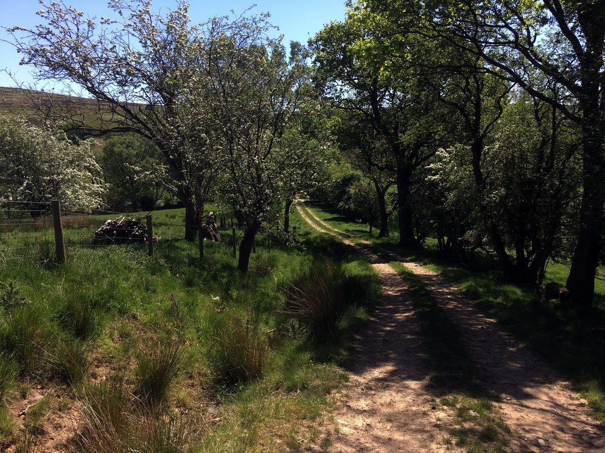 Trail of the Goathland, Mallyan Spout and the Roman Road Hike in North York Moors, England