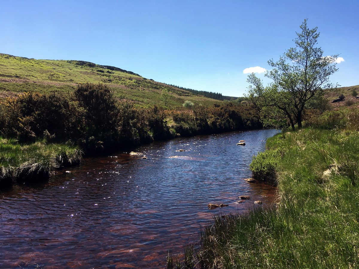 Wheeldale Beck on the Goathland, Mallyan Spout and the Roman Road Hike in North York Moors, England