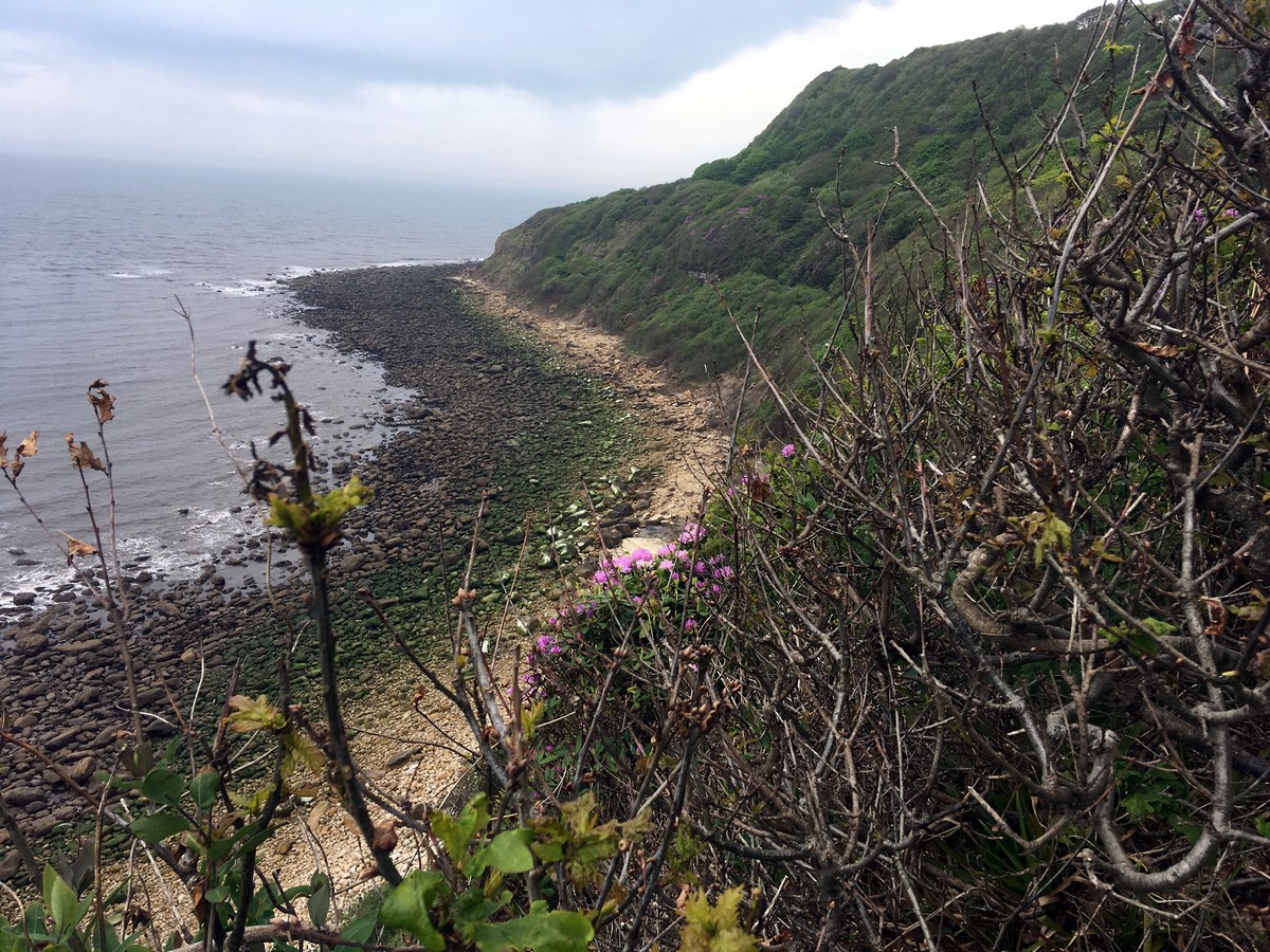 Hayburn Wyke on the Cloughton and Hayburn Wyke Hike in North York Moors, England