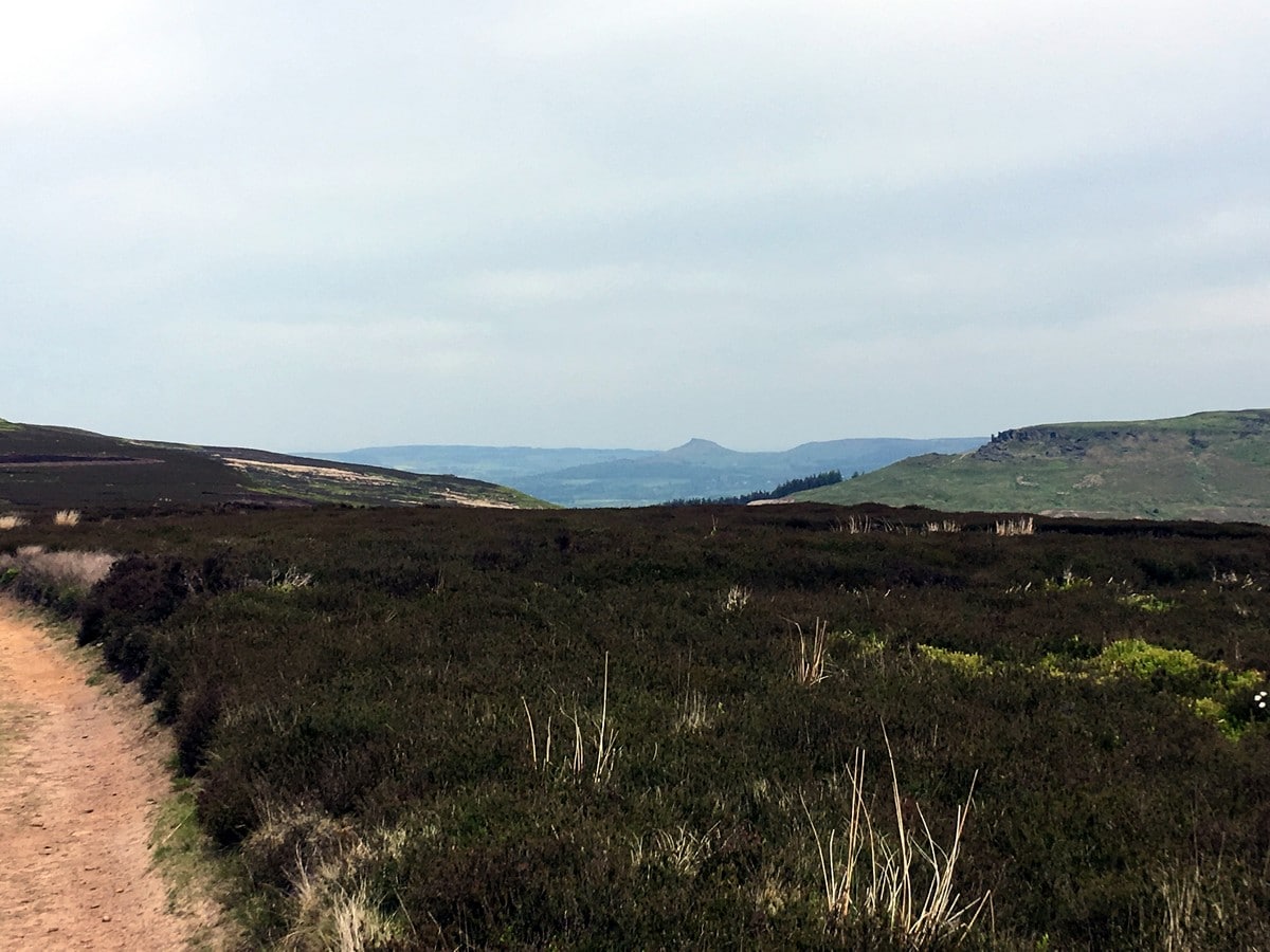 Ridge from the Cold Moor and Urra Moor Hike in North York Moors, England