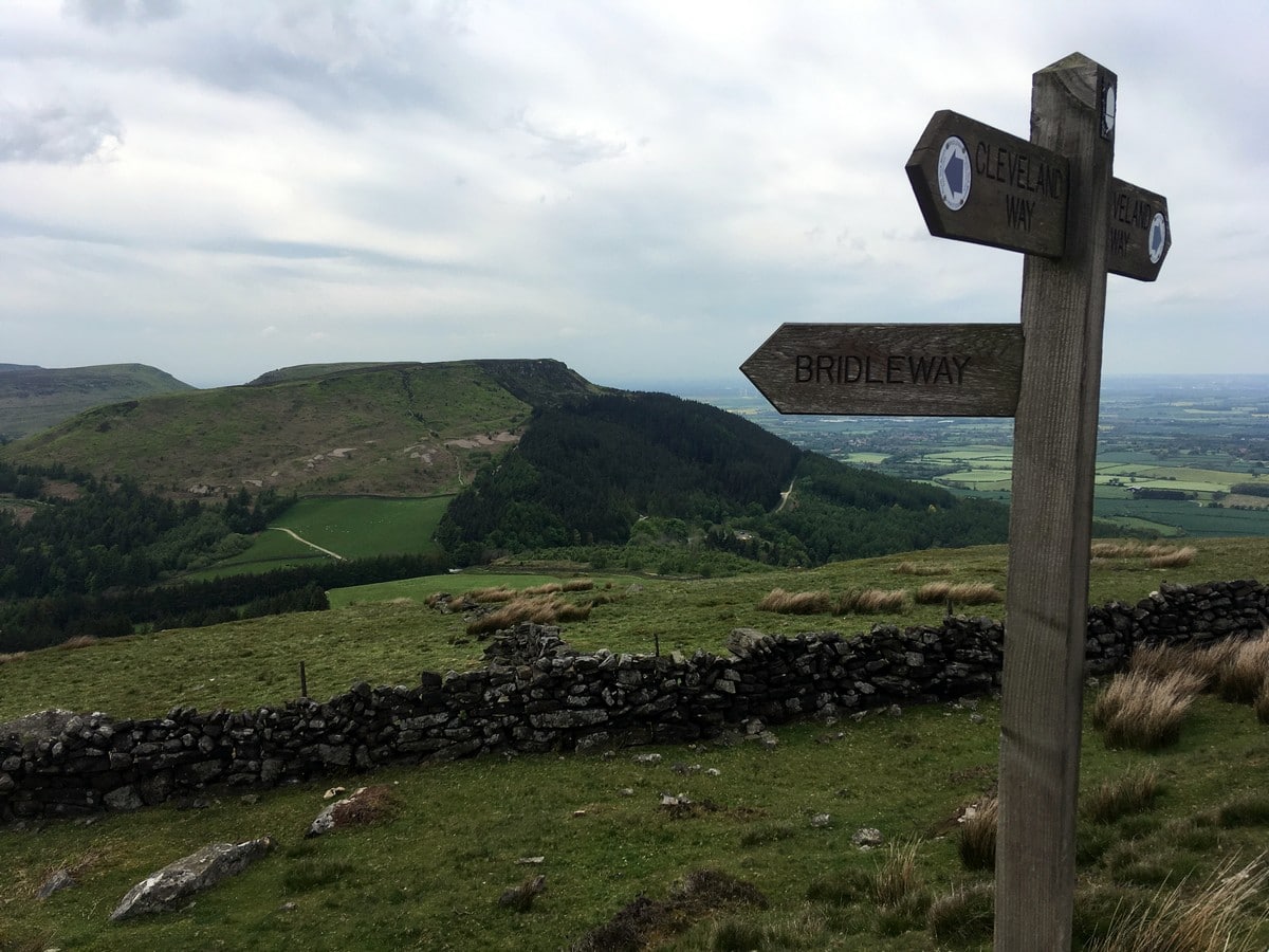 Edge of Urra Moor on the Cold Moor and Urra Moor Hike in North York Moors, England