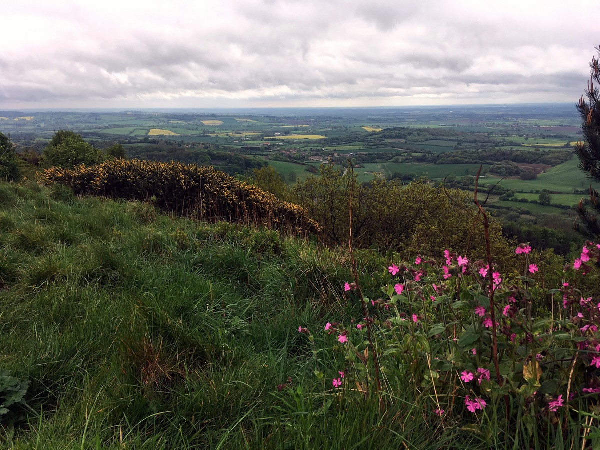 Vale of Pickering on the Sutton Bank, White Horse of Kilburn and Gormire Lake Hike in North York Moors, England