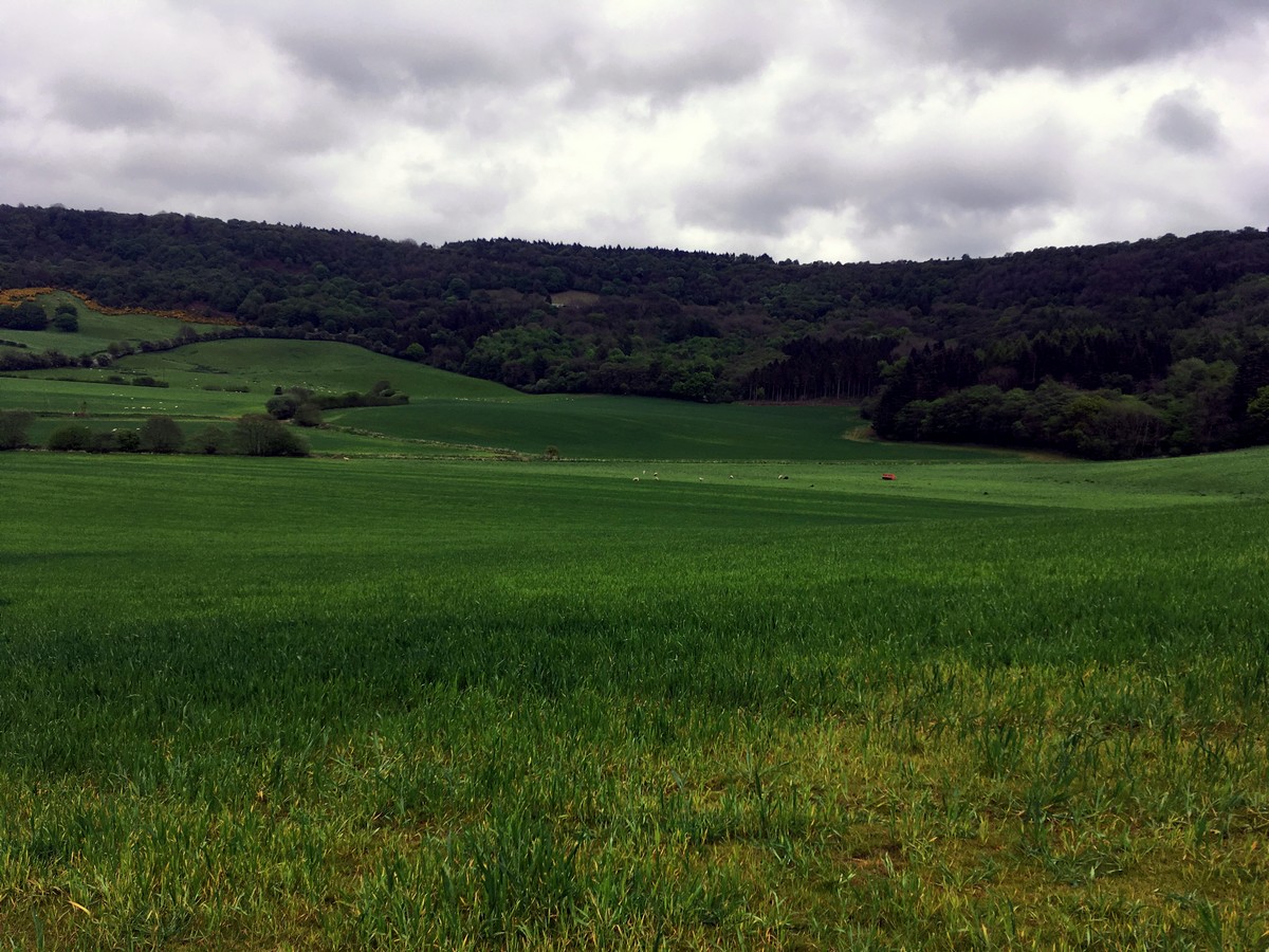 Happy Valley on the Sutton Bank, White Horse of Kilburn and Gormire Lake Hike in North York Moors, England