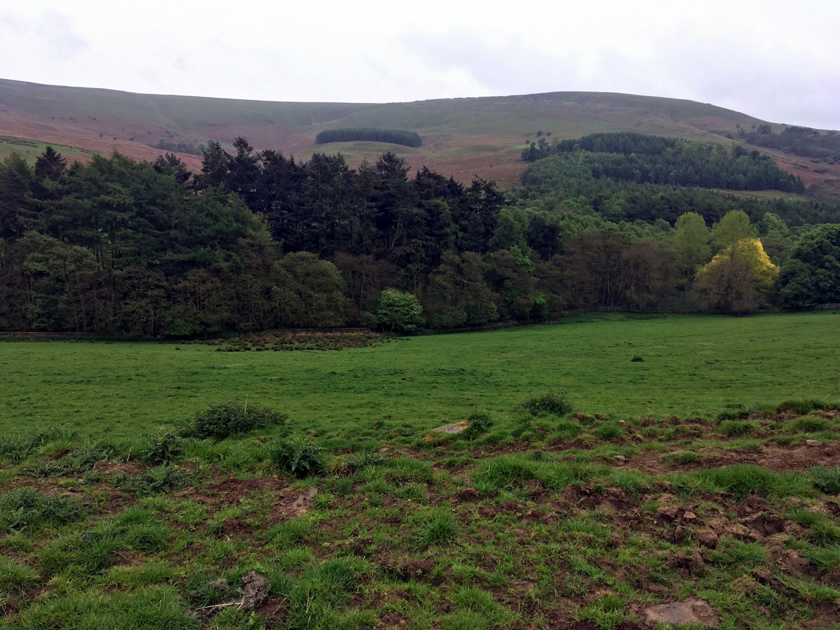 Black Hambleton Hike in North York Moors, England, UK