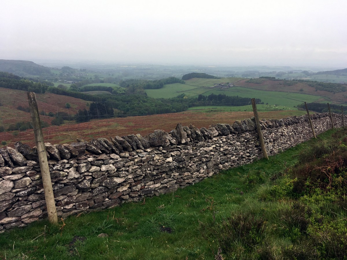 View from the Black Hambleton Hike in North York Moors, England