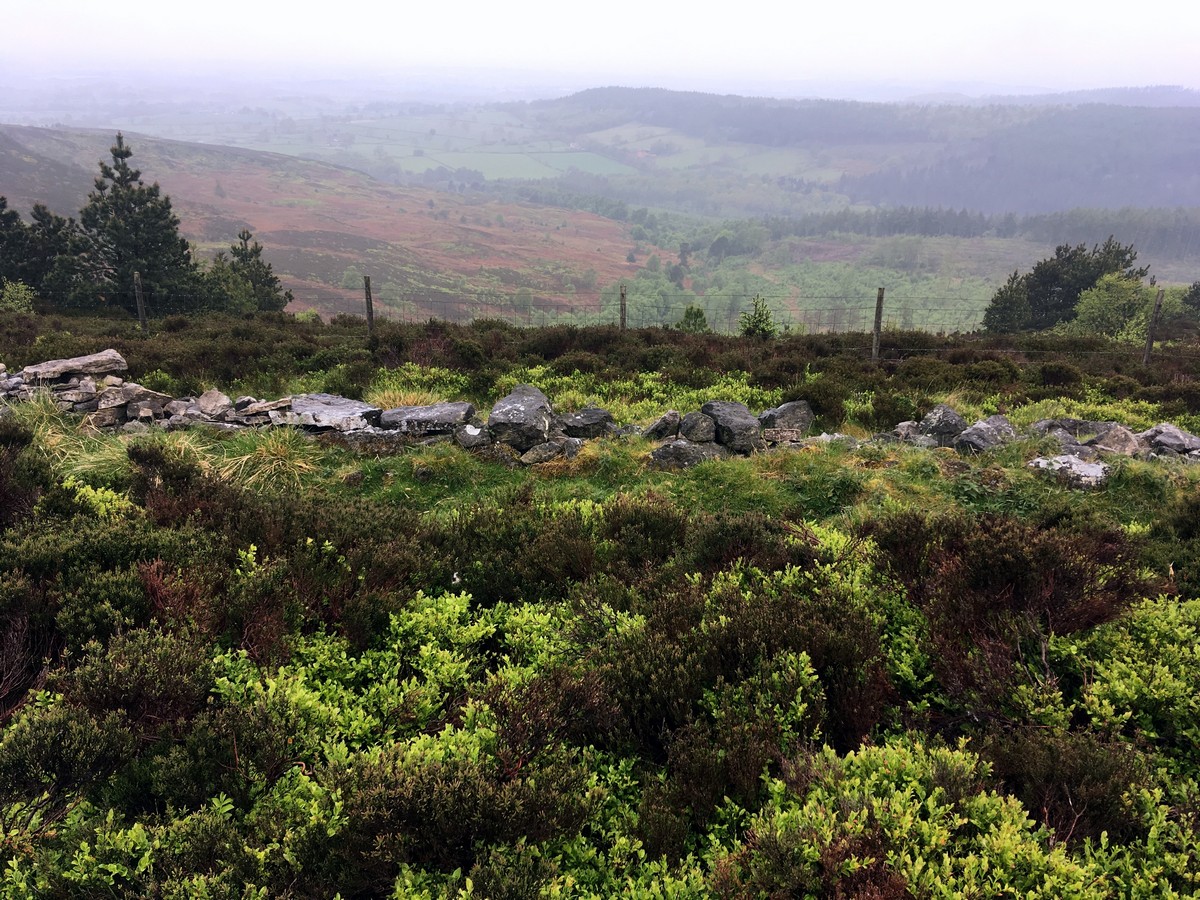 View from the Black Hambleton Hike in North York Moors, England