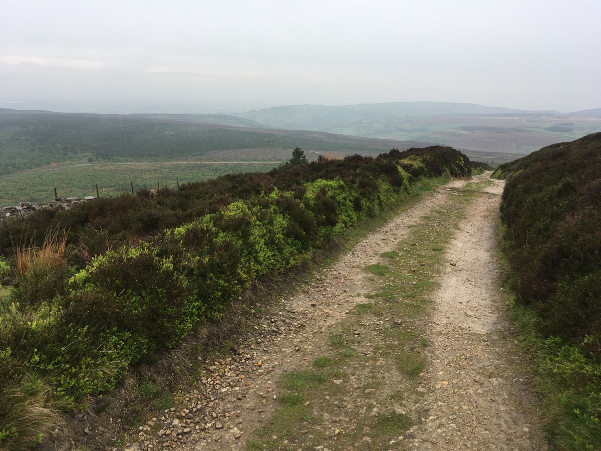 Trail of the Black Hambleton Hike in North York Moors, England