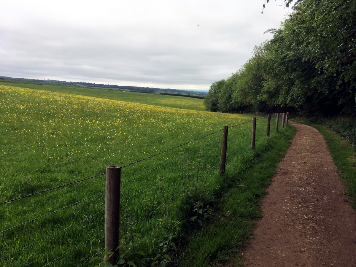 View from the Helmsley to Rievaulx Abbey Hike in North York Moors, England