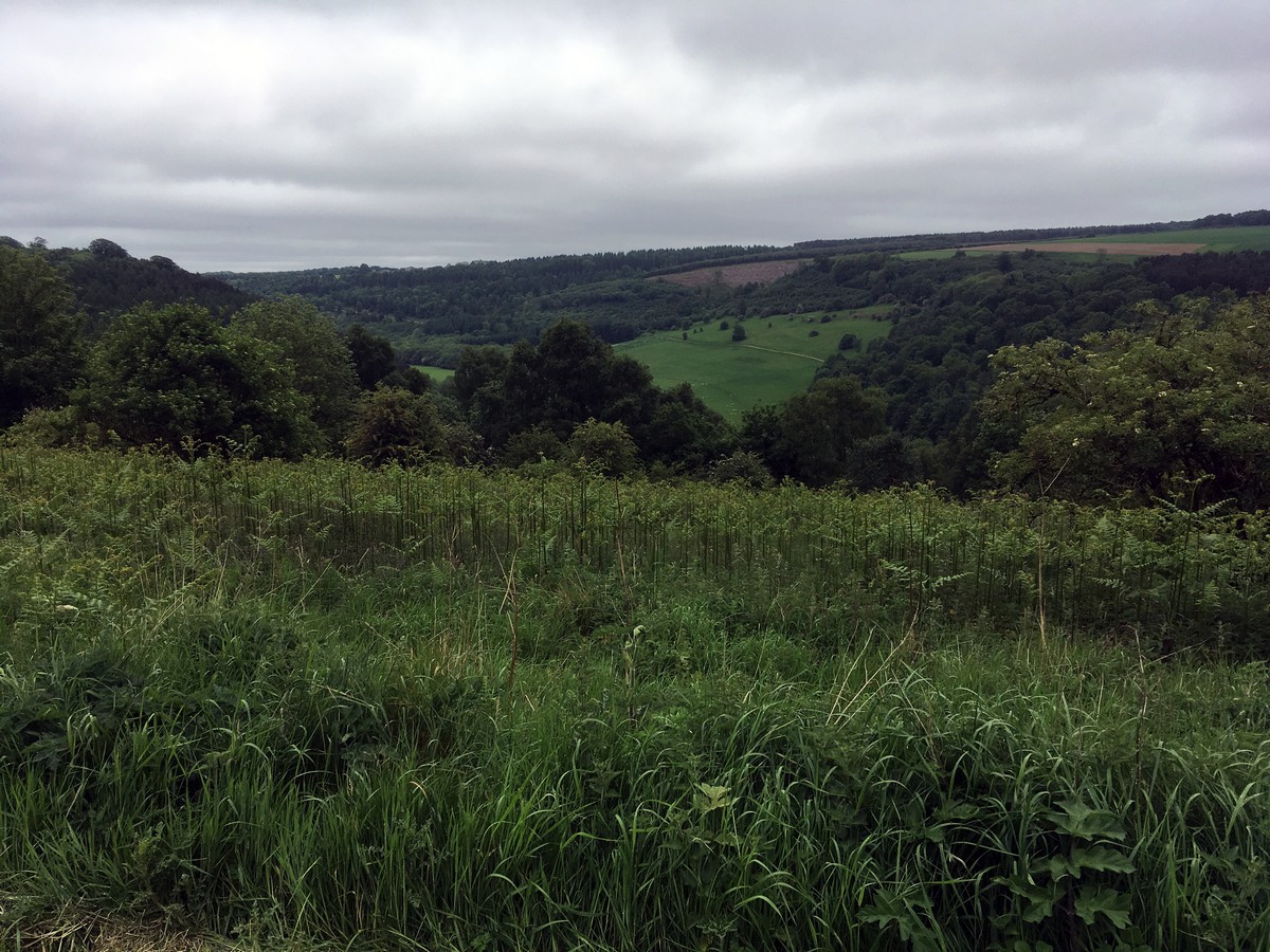 View from Griff Lodge on the Helmsley to Rievaulx Abbey Hike in North York Moors, England