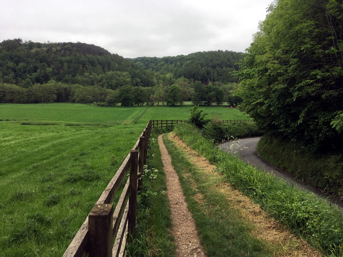 Lane on the Helmsley to Rievaulx Abbey Hike in North York Moors, England