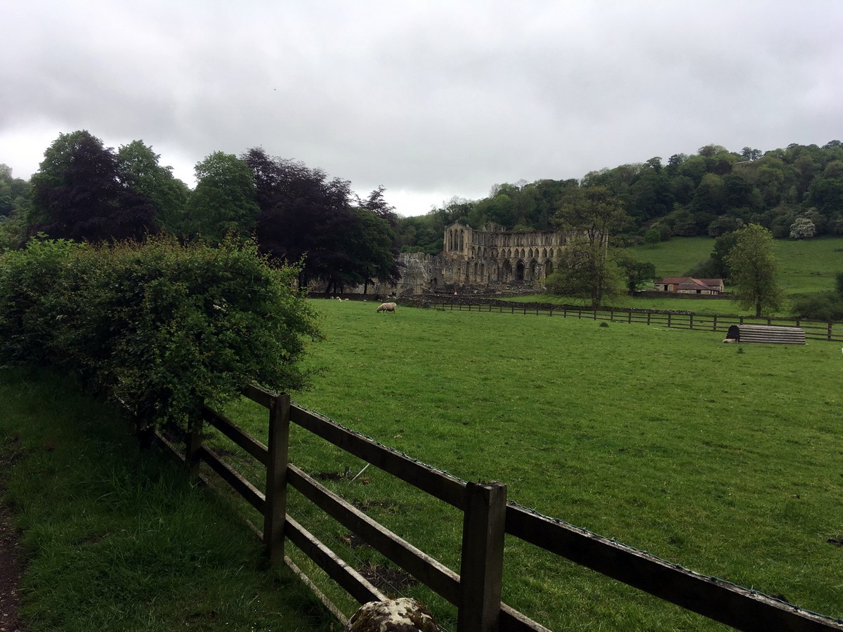 Rievaulx Abbey on the Helmsley to Rievaulx Abbey Hike in North York Moors, England