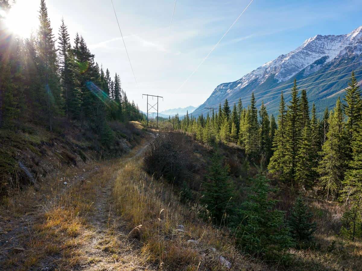Following the Utility Corridor at the start of the Opal Ridge Hike in Kananaskis, near Canmore