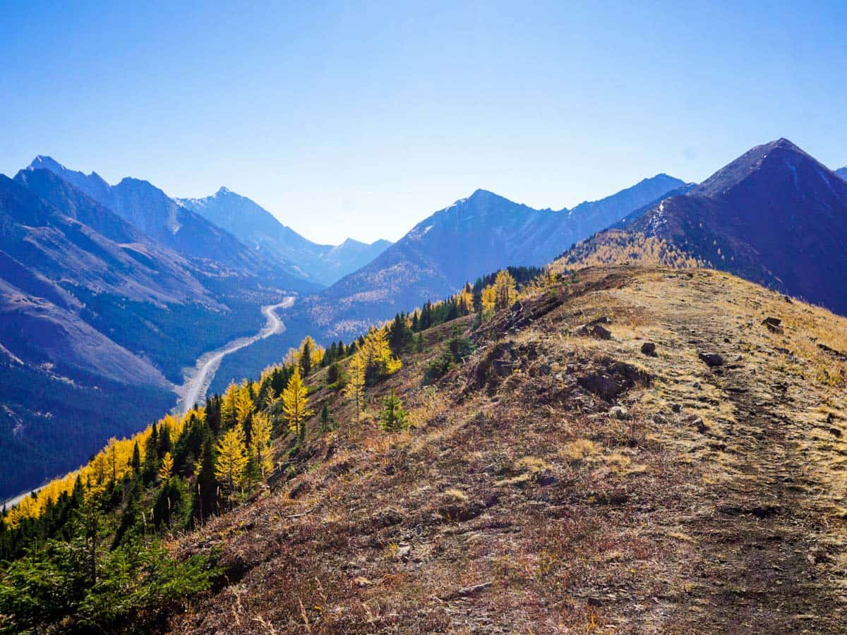 First hump of the Pocaterra Ridge Hike in Kananaskis, near Canmore