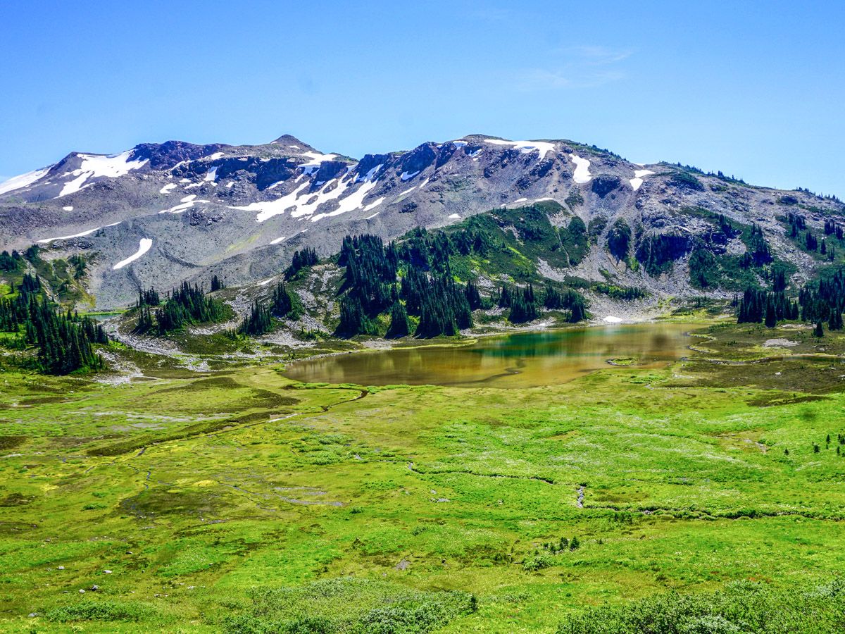 Scenery of the Panorama Ridge Hike in Whistler, British Columbia