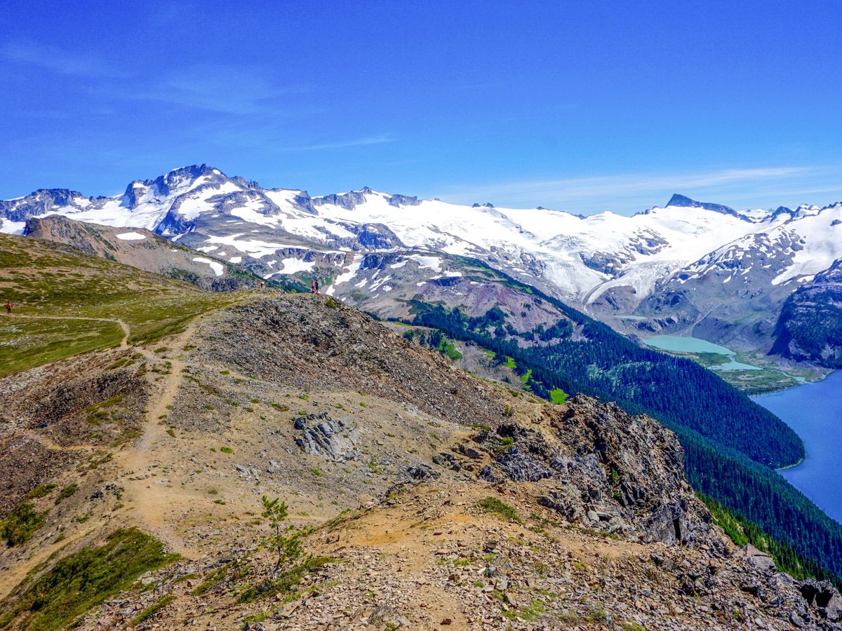 Mountain views from the Panorama Ridge Hike in Whistler, British Columbia