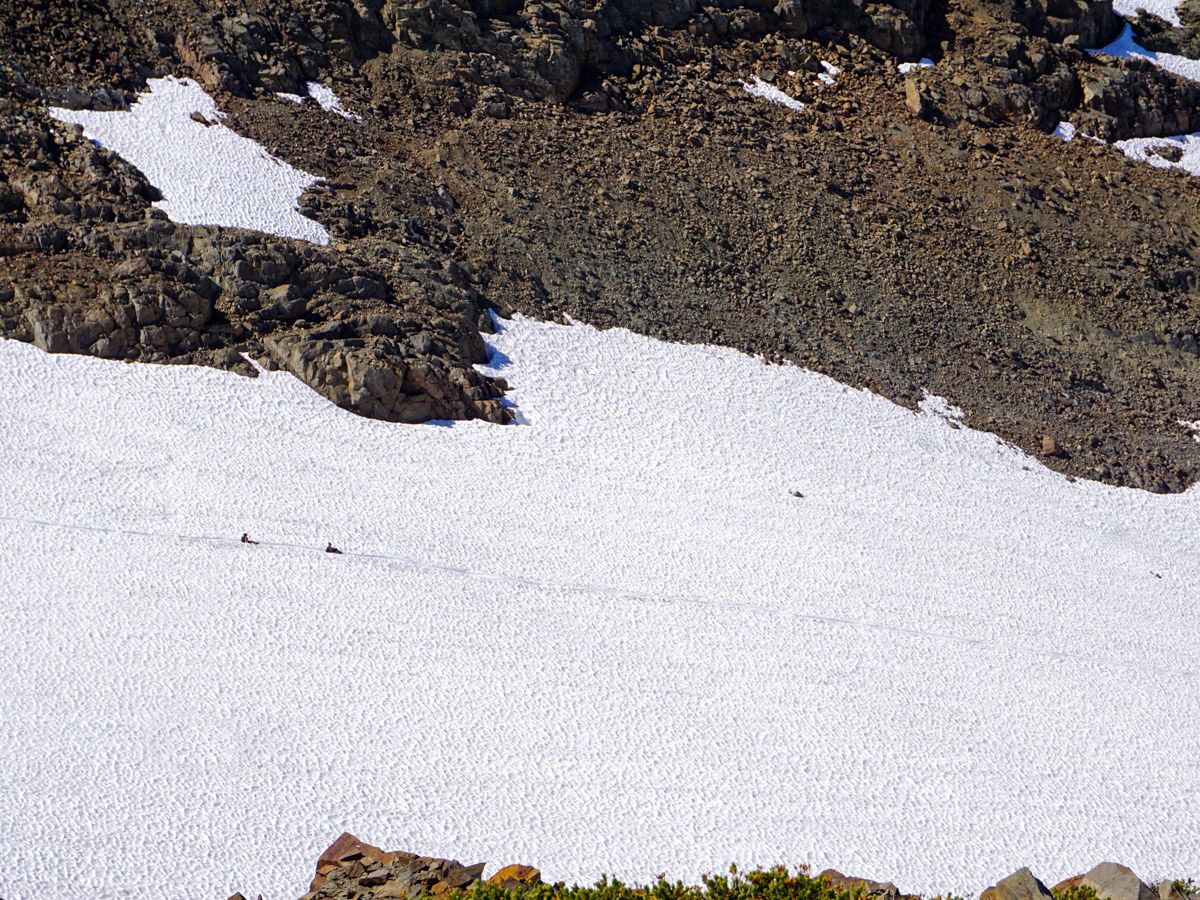 Hiking trail at Panorama Ridge Hike in Whistler