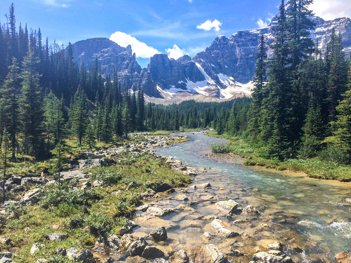 Stream on the Paradise Valley Circuit Hike near Lake Louise, Banff National Park, Alberta