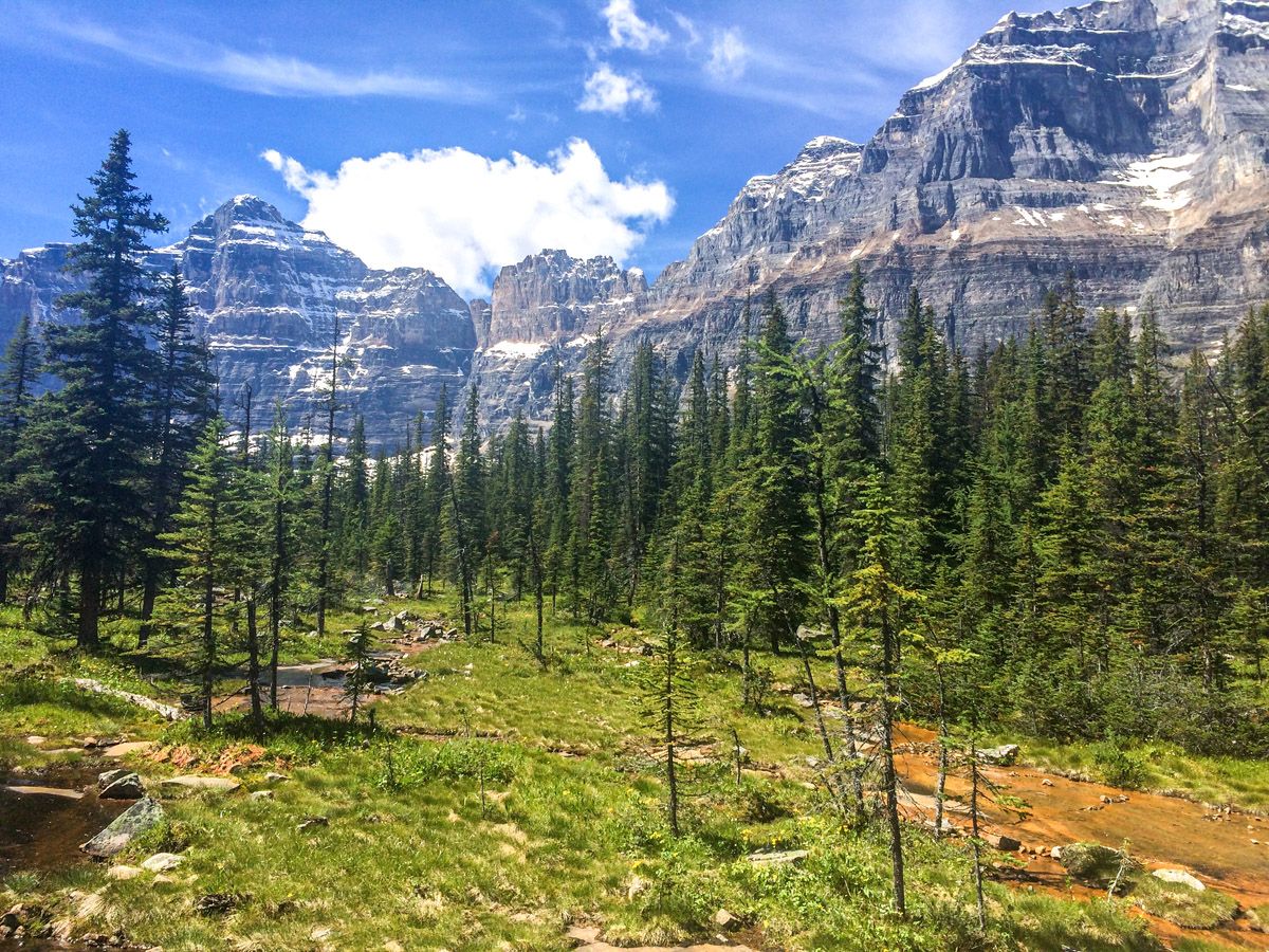 Paradise Valley Circuit trail should be included in planning your trip to Lake Louise
