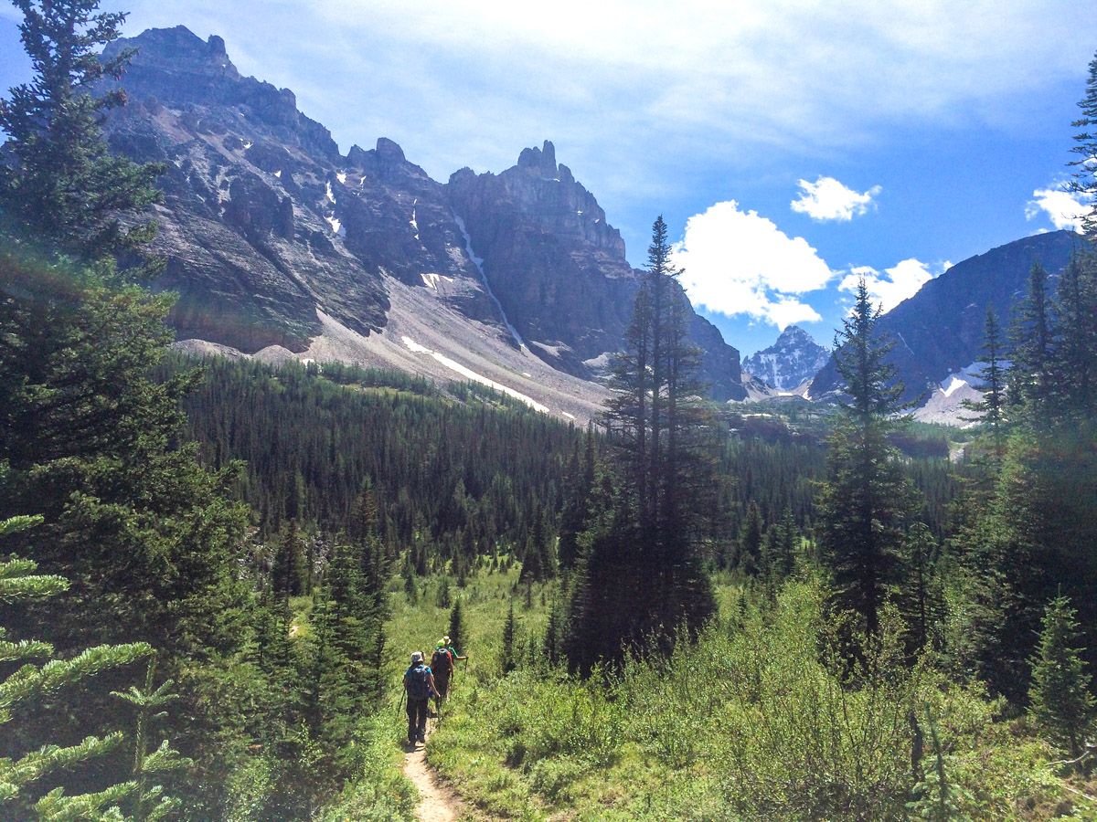 Trail of the Paradise Valley Circuit Hike in Lake Louise, Banff National Park