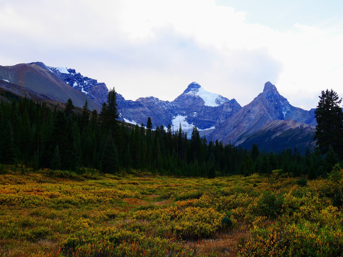 Hilda Peak can be seen from Mt Athabasca trail from Icefields Parkway