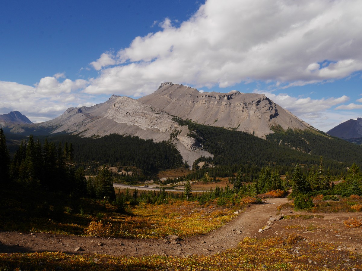 Nigel Peak on the Parker Ridge Trail Hike from the Icefields Parkway near Banff National Park