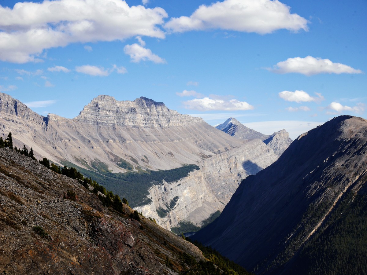 Cirrus Mountain view on the Parker Ridge Trail Hike from the Icefields Parkway near Banff National Park