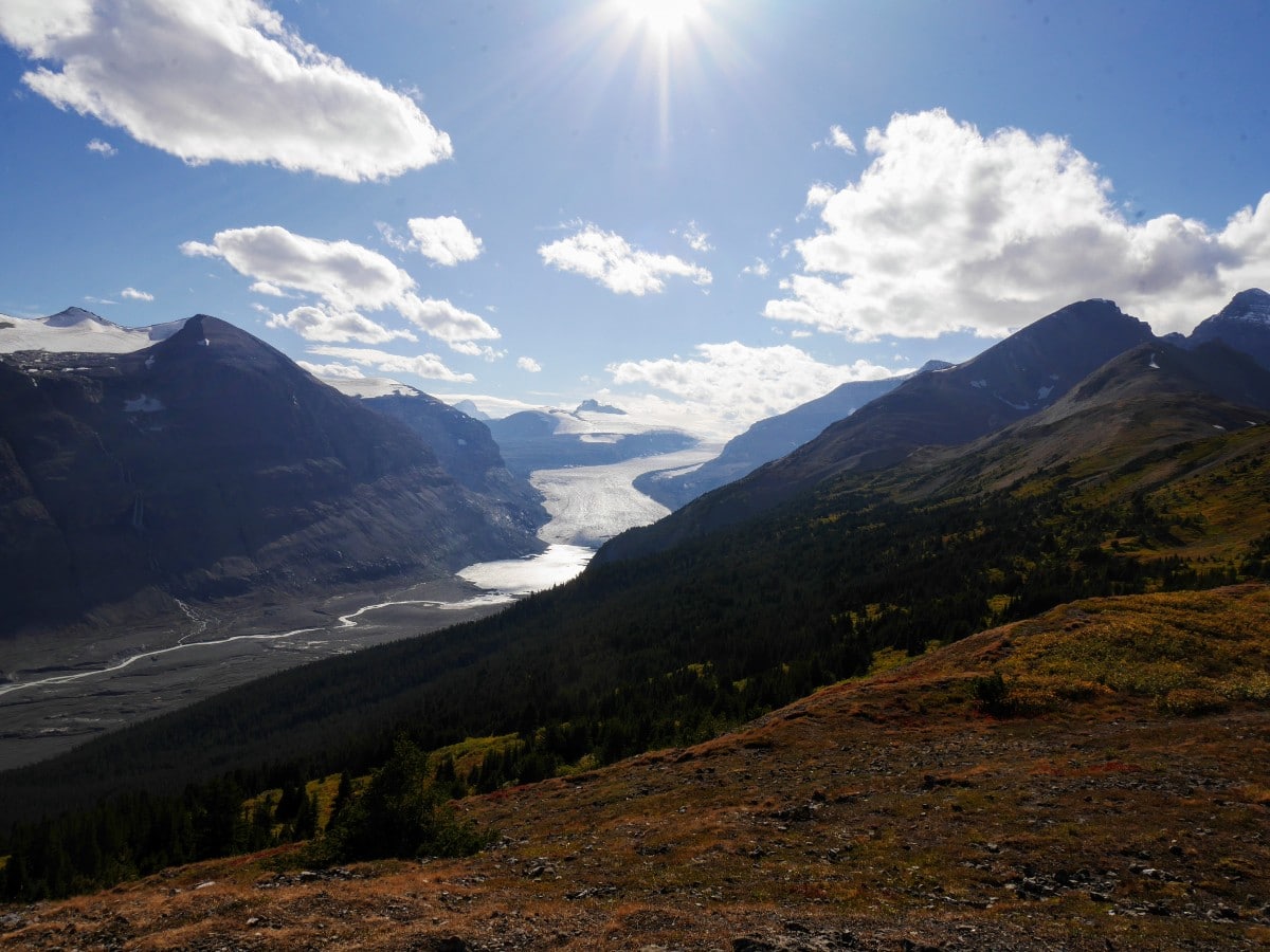 Saskatchewan Glacier and forefield on the Parker Ridge Trail Hike from the Icefields Parkway near Banff National Park